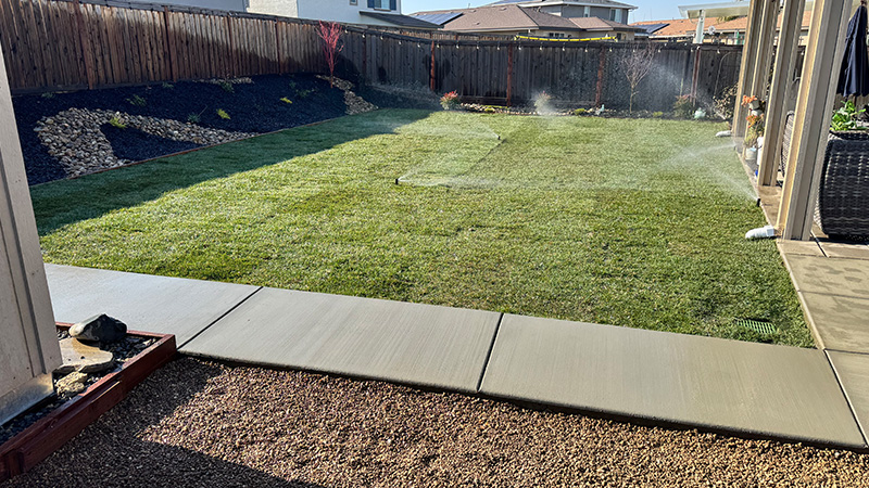 Yard after sod installation