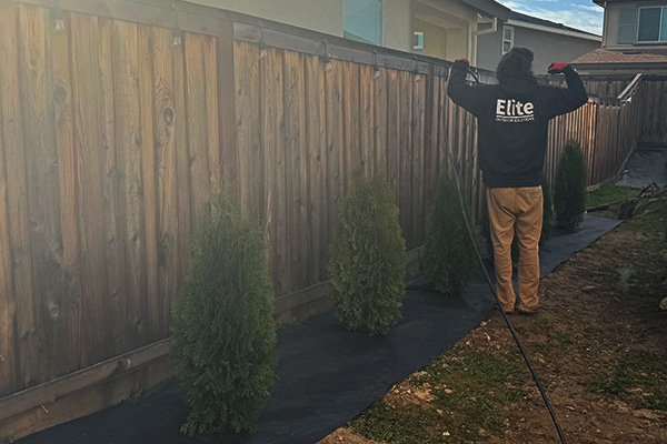 Drip irrigation lines installed neatly in a garden bed