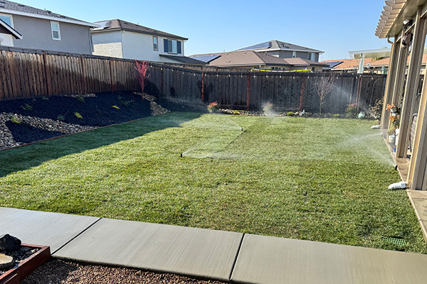 Completed sod installation showing a lush, healthy backyard lawn